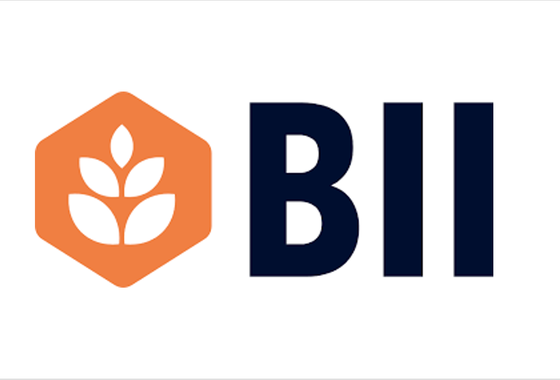 BII Logo.png