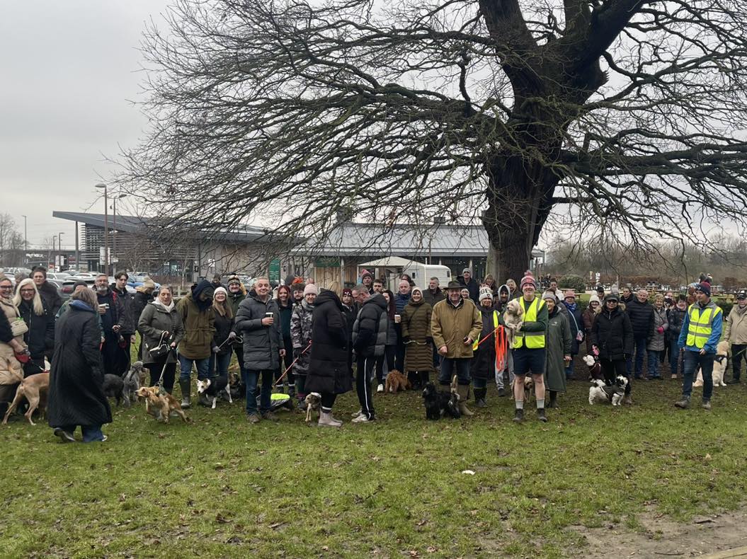 A froup of people and their dogs on our recent Charity Dog Walk