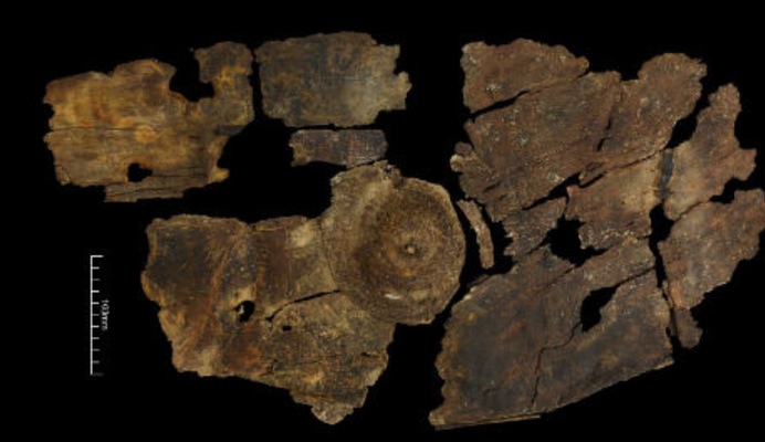 Unique Iron Age shield found at Everards Meadows