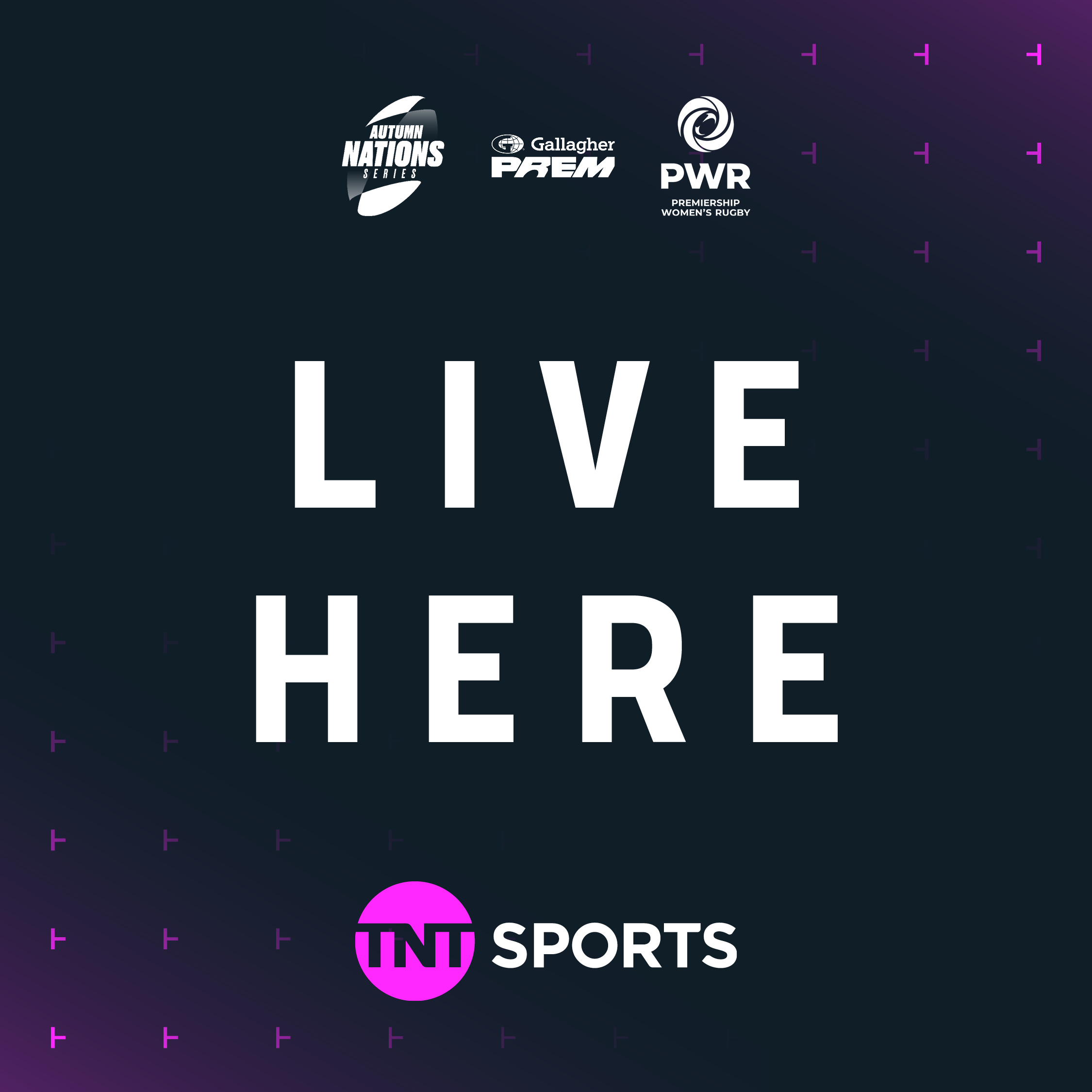 TNT Sports Business | Everards